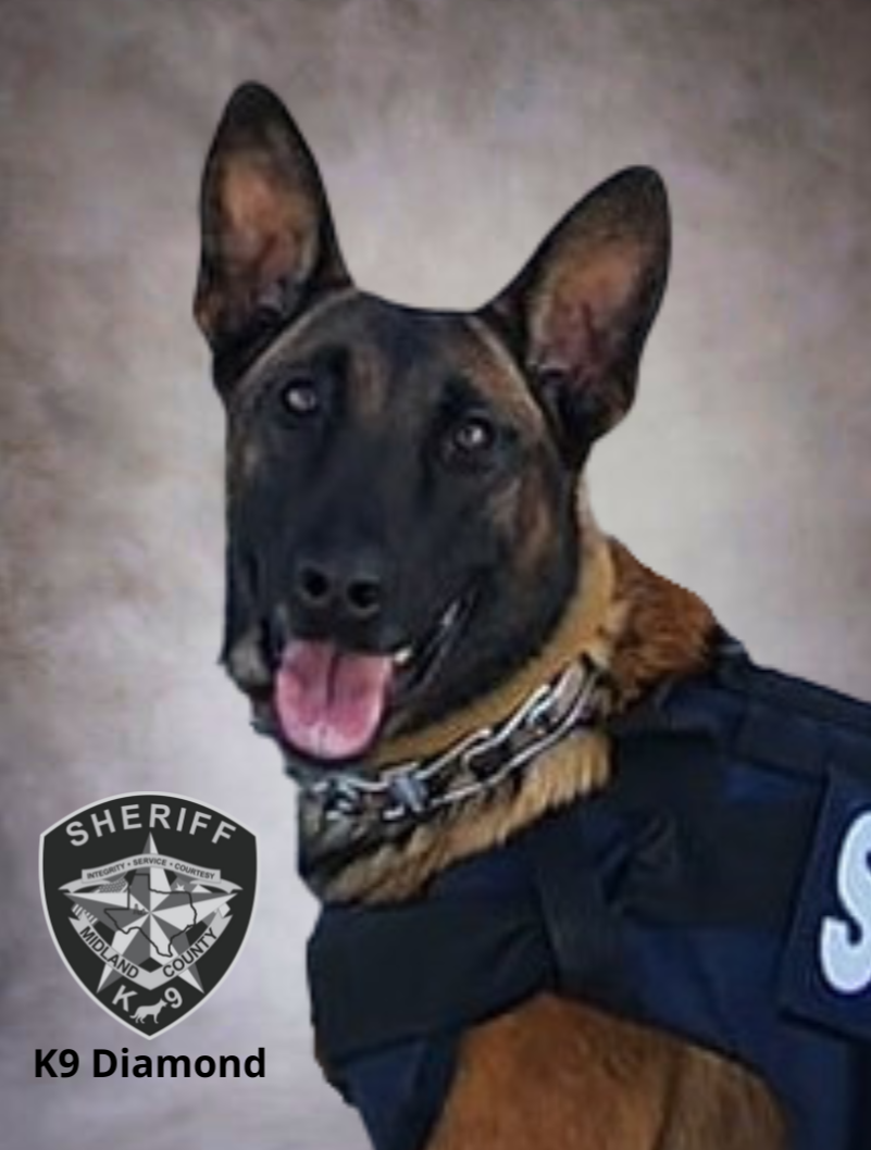 K9 Diamond